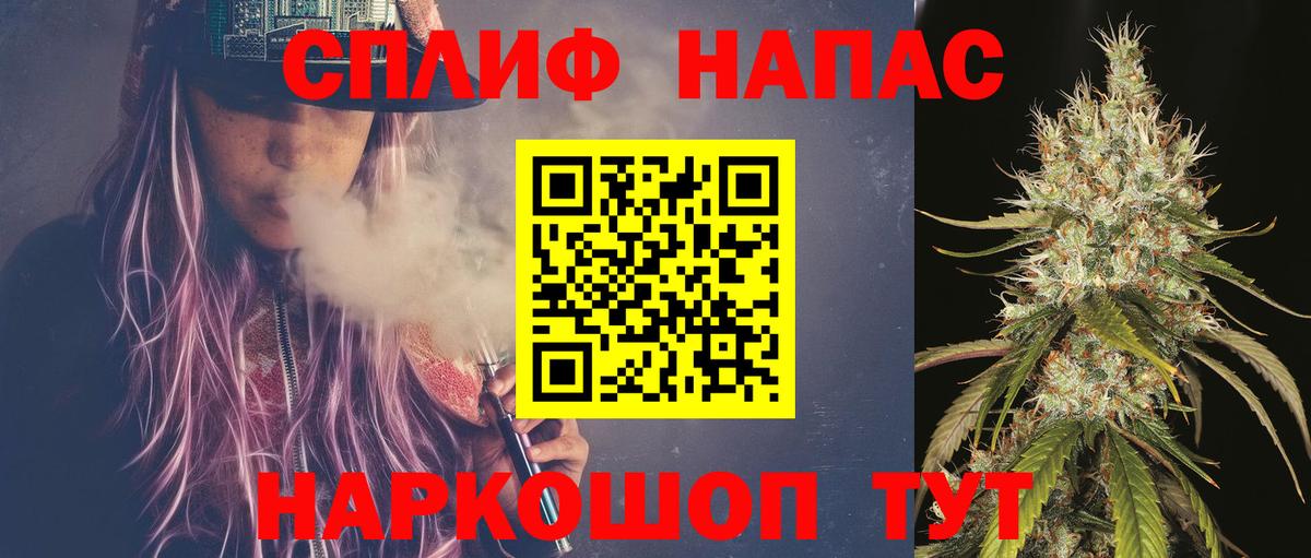 Канабис конопля Сальск